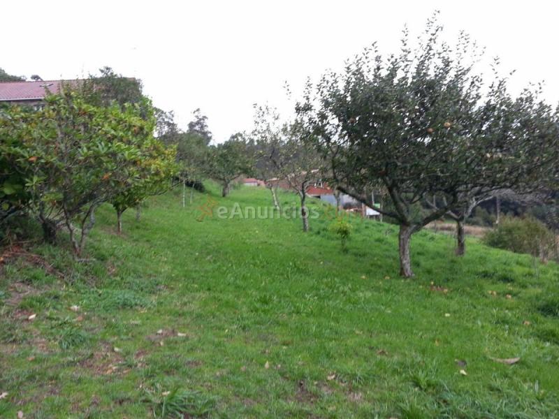 Casa Rural en venta en  Busto, A Baña
