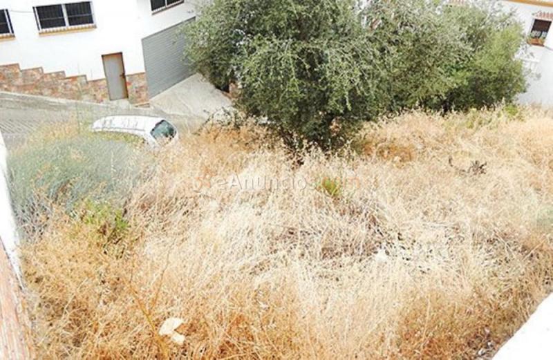 Parcela Rustica en venta en  OLIVO, Almáchar