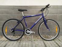 Bici Top Trotter Economica