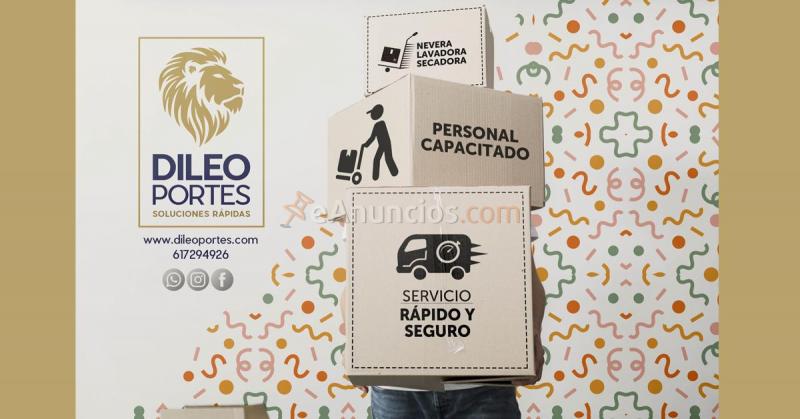 presupuestos para mudanzas