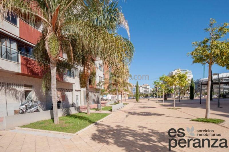 Local comercial en Alquiler en Murcia Murcia