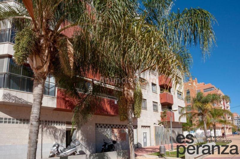 Local comercial en Alquiler en Murcia Murcia