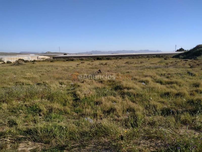 Suelo rústico en Venta en Viso, El Almería