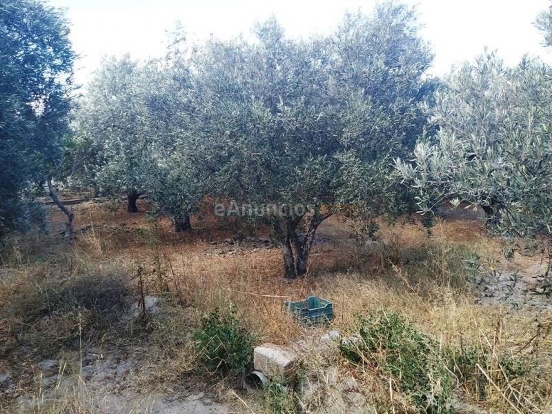 Suelo rústico en Venta en Huercal De Almeria Almería