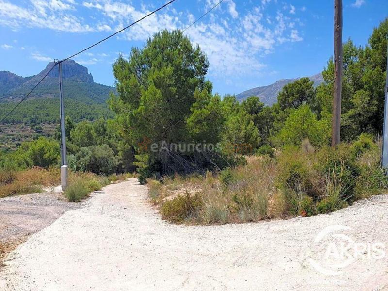 Parcela rústica, oportunidad en Benissa