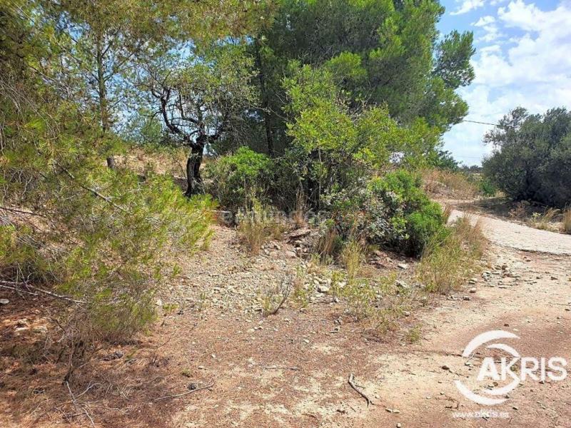 Parcela rústica, oportunidad en Benissa