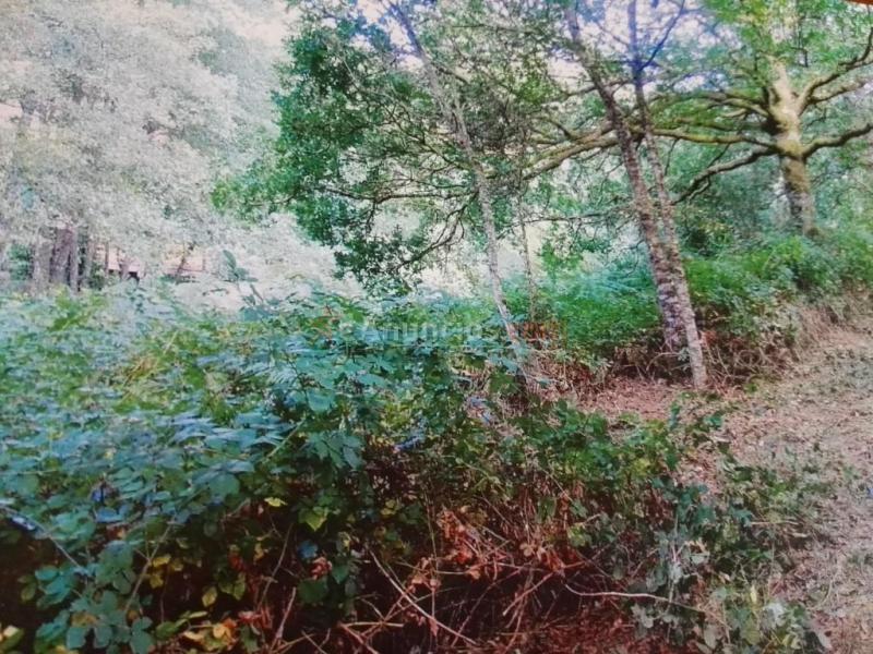 Edificio singular en Venta en Friol Lugo