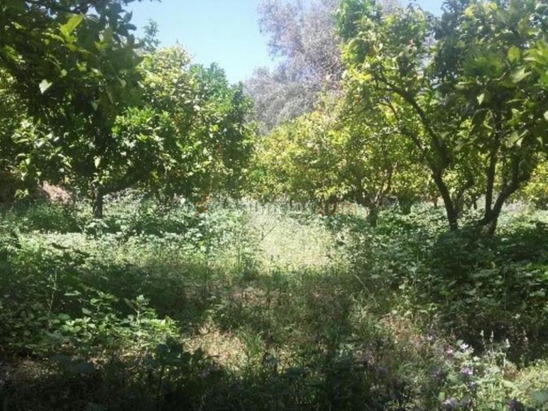 Casa Rústica en venta en Albuñuelas de 68 m2