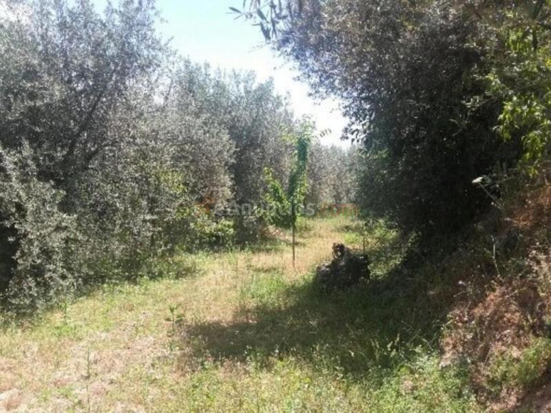 Casa Rústica en venta en Albuñuelas de 68 m2