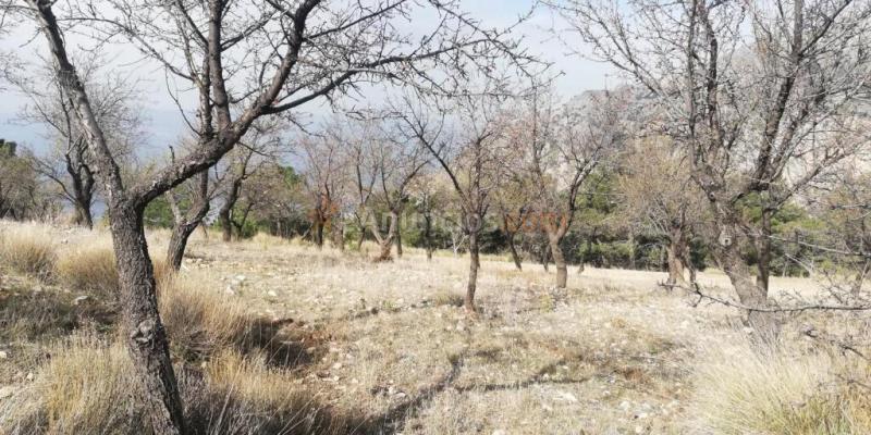 Terreno en venta en Nigüelas de 32720 m2