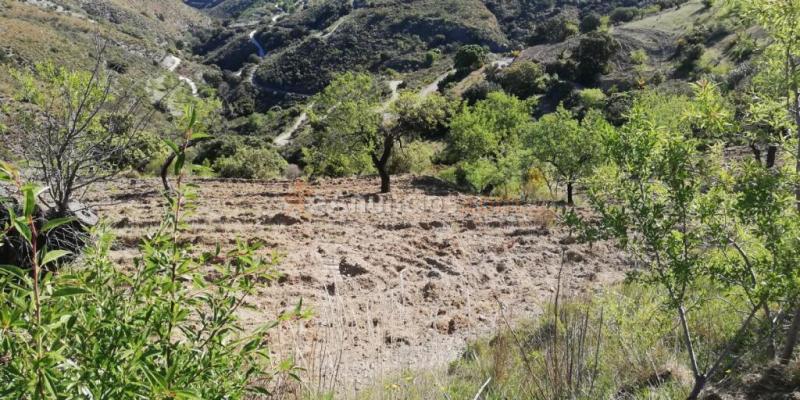 Casa Rústica en venta en El Pinar de 46 m2