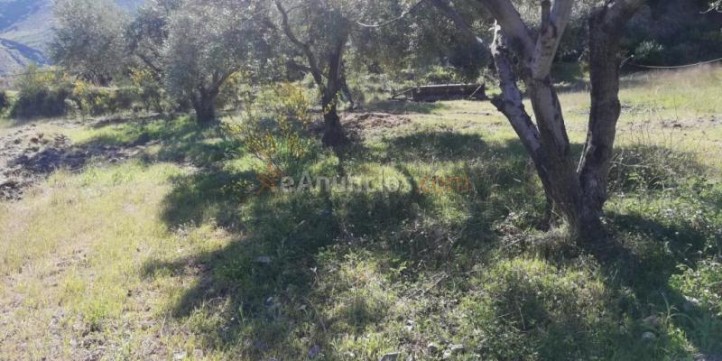 Casa Rústica en venta en El Pinar de 46 m2