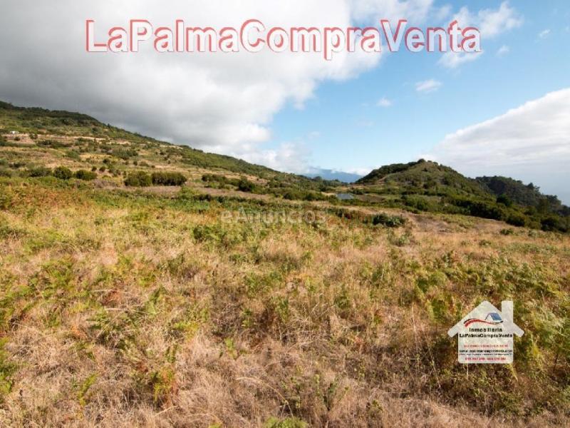 Solar residencial en Venta en Villa De Mazo Santa Cruz de Tenerife