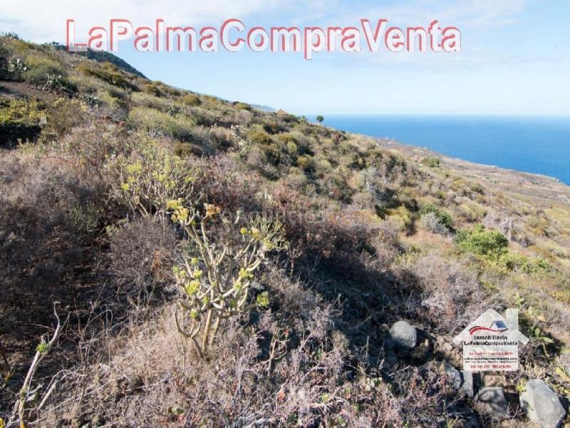 Suelo rústico en Venta en Villa De Mazo Santa Cruz de Tenerife