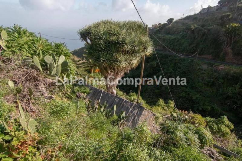 Suelo rústico en Venta en Garafia Santa Cruz de Tenerife