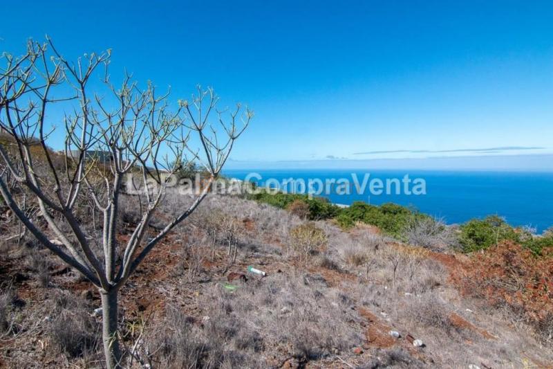 Suelo rústico en Venta en Tijarafe Santa Cruz de Tenerife