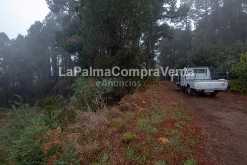 Suelo rústico en Venta en Roque Faro Santa Cruz de Tenerife