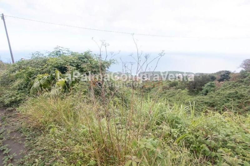 Casa-Chalet en Venta en San Andres Y Sauces Santa Cruz de Tenerife