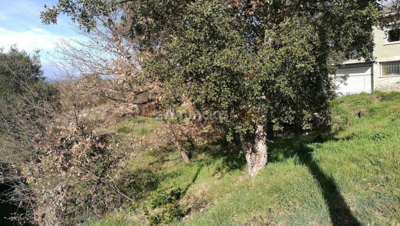 Suelo urbanizable en Venta en Sils Girona