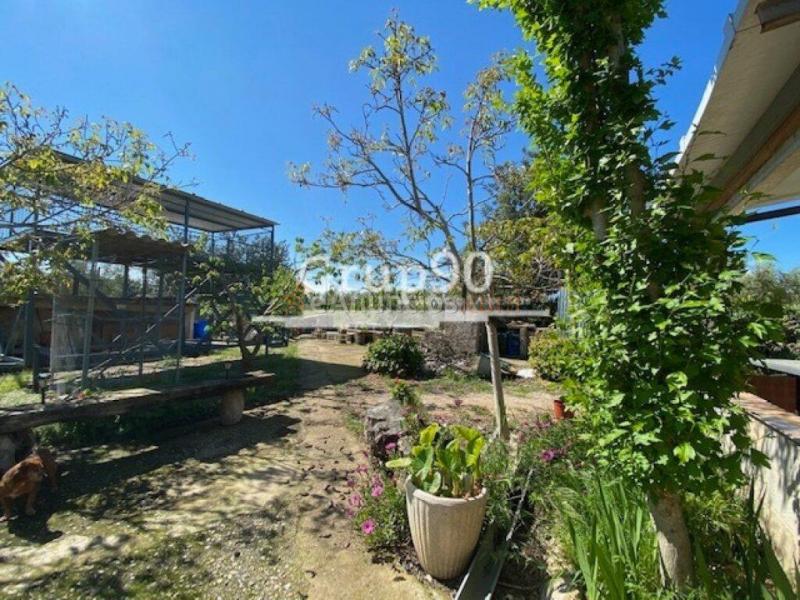 Fantástica finca con casa y piscina en la Galera