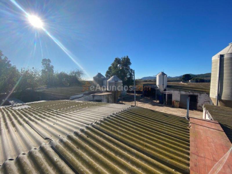 Granja en pleno funcionamiento cerca de Torreblanca