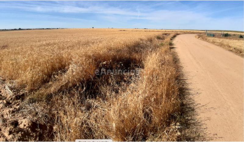 Finca rustica de secano 2 ha 32 a 65 ca