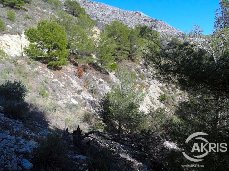PARCELA CON VISTAS AL MAR EN ALTEA HILLS