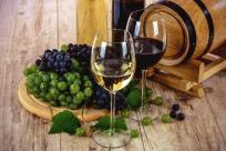 Exportadora de aceite y vino