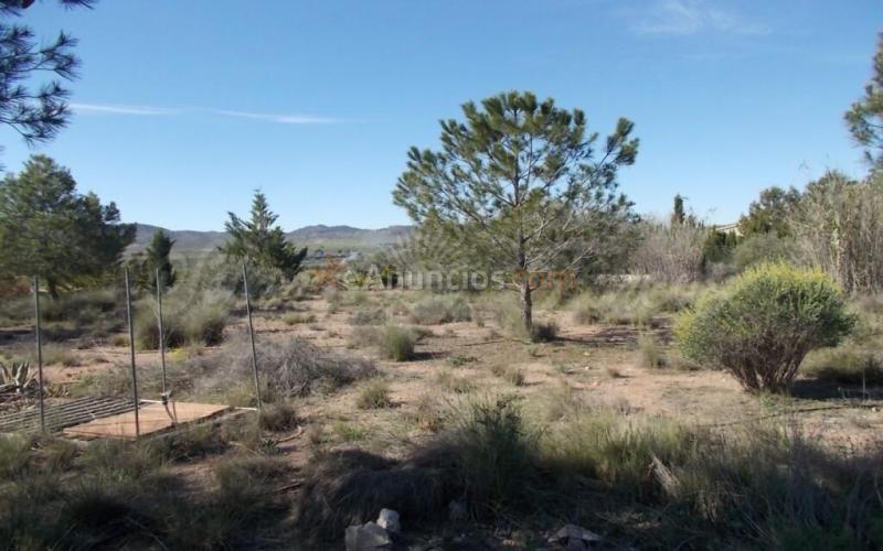 Casa de campo-Masía en Venta en Yecla Murcia