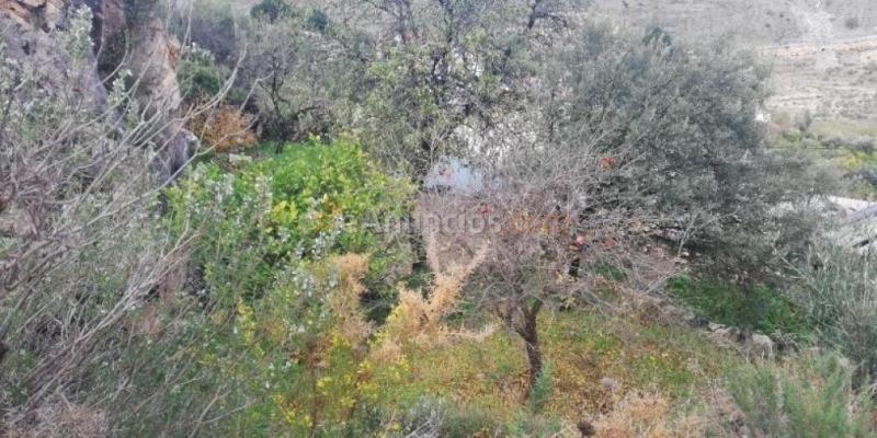 Casa Rústica en venta en El Pinar de 106 m2