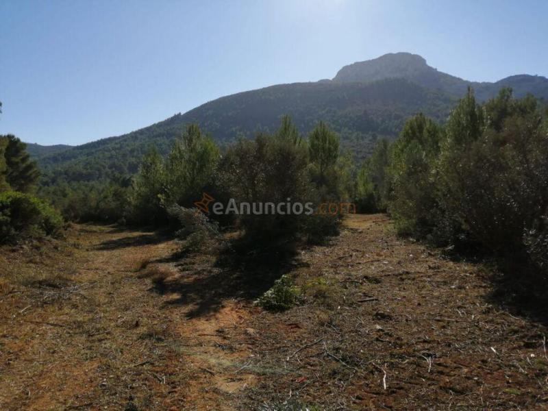 Parcela en Venta en Alcalalí Alicante