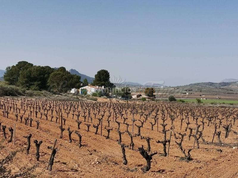 Casa de campo-Masía en Venta en Yecla Murcia