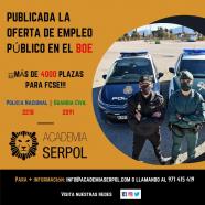 Policía nacional y guardia civil.
