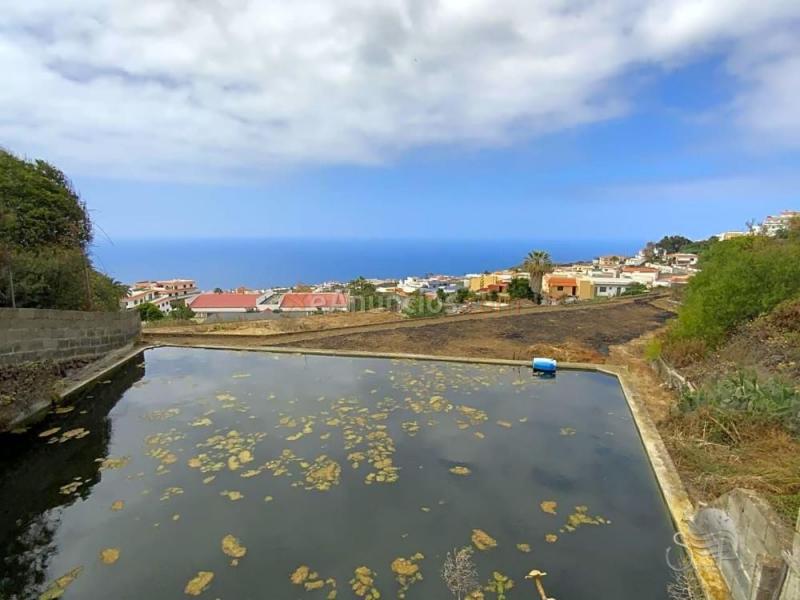 Se vende casa rural con finca