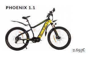 Bicicleta eléctrica