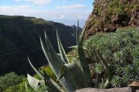 Exialoe en Pais Vasco