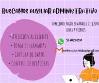 Auxiliar administrativo