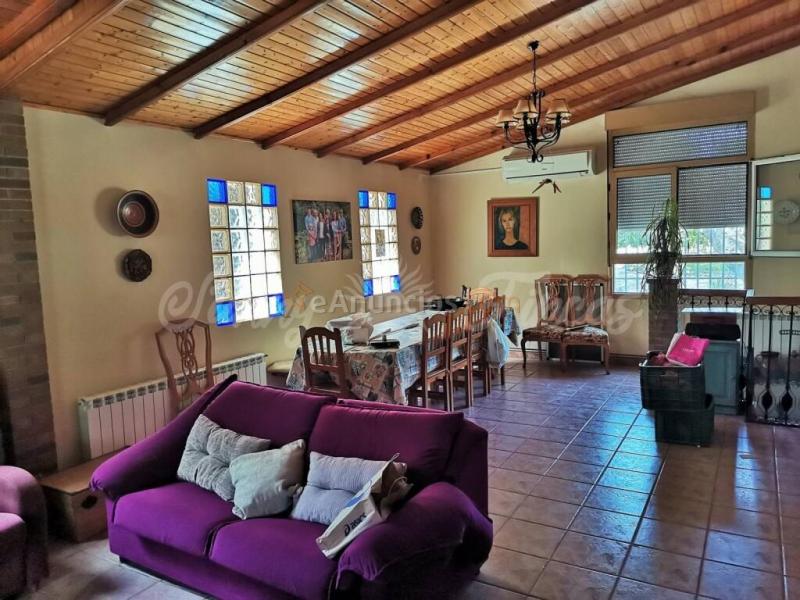 Casa-Chalet en Venta en Villena Alicante