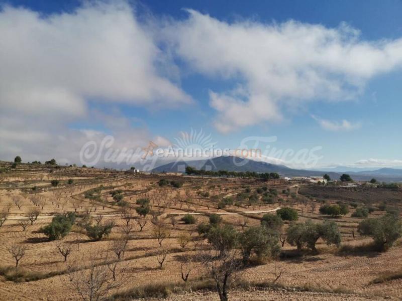 Casa de campo-Masía en Venta en Yecla Murcia