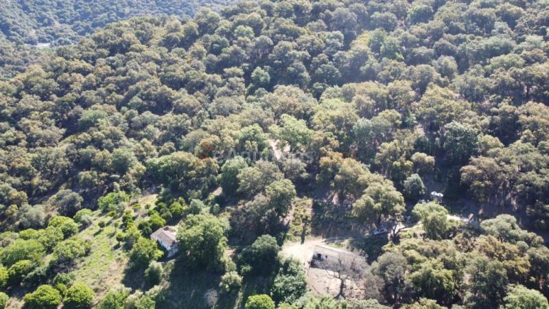 Casa de campo-Masía en Venta en Farajan Málaga