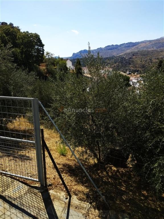 Parcela en Venta en Parauta Málaga