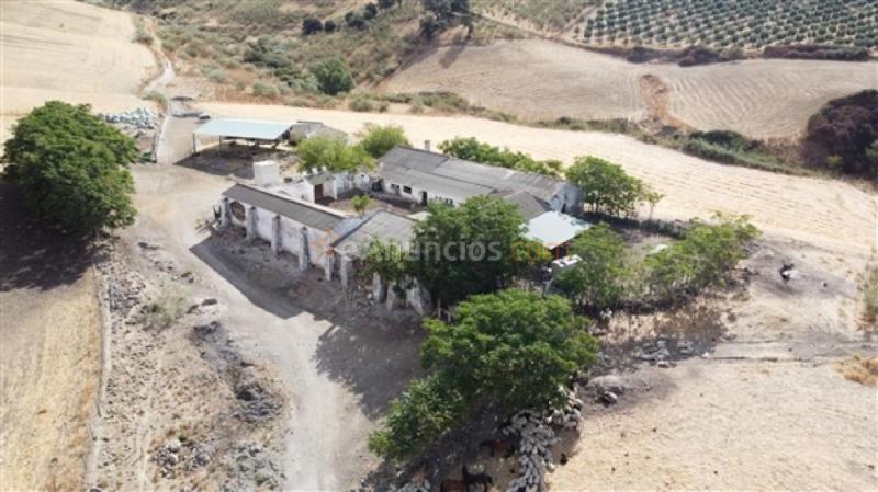 Edificio singular en Venta en Ronda Málaga