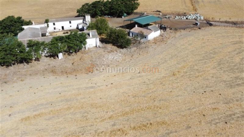 Edificio singular en Venta en Ronda Málaga