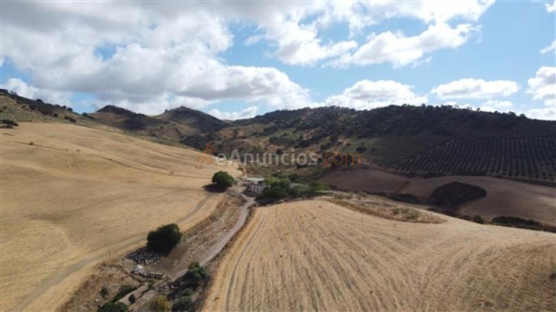 Edificio singular en Venta en Ronda Málaga