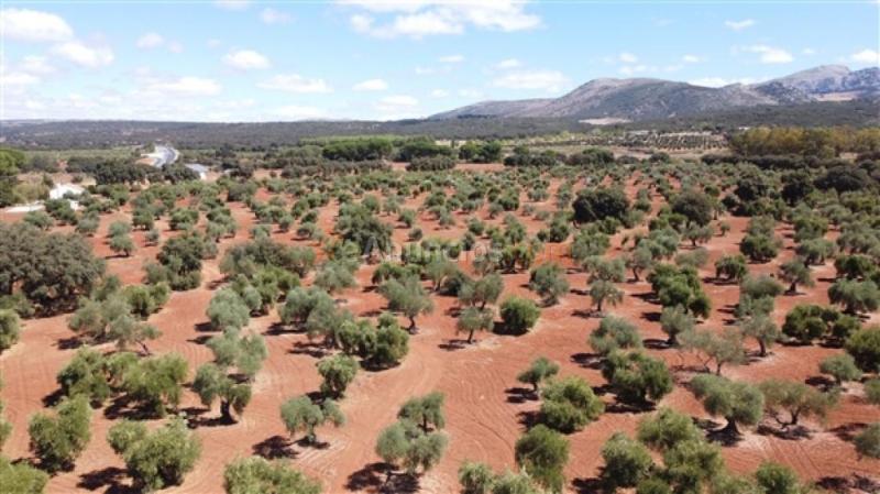 Casa de campo-Masía en Venta en Ronda Málaga