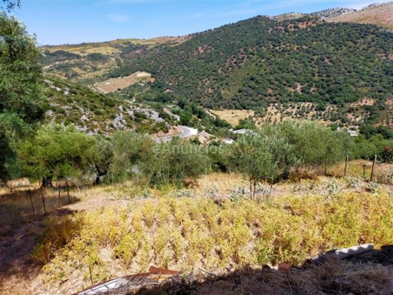 Parcela en Venta en Benaojan Málaga