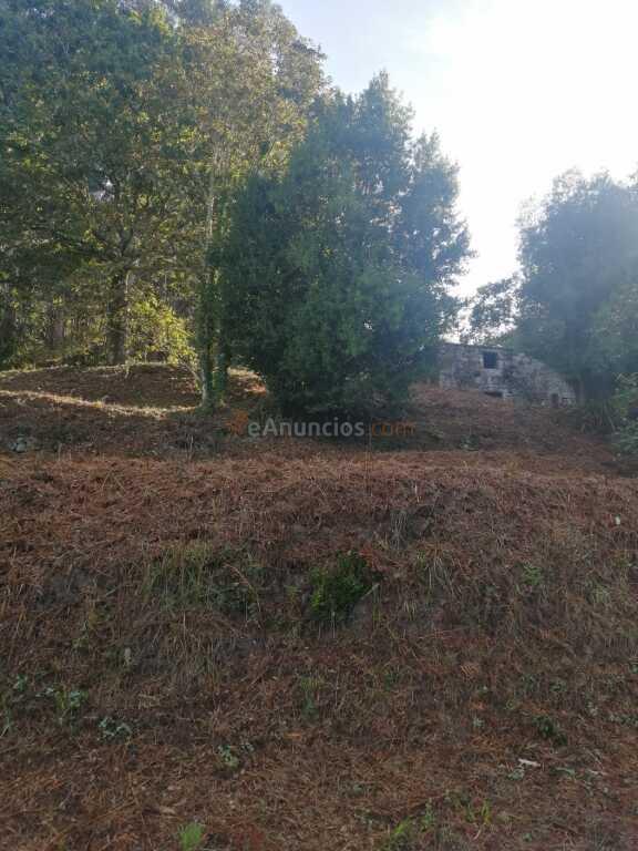 Casa de pueblo en Venta en Arbo, Estación, A Pontevedra