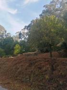 Suelo urbanizable en Venta en Moreira (San Martiño) Pontevedra