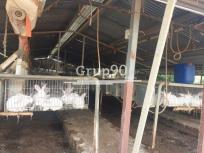 Granja de conejos en pleno funcionamiento en Sant Carles de la Rpita