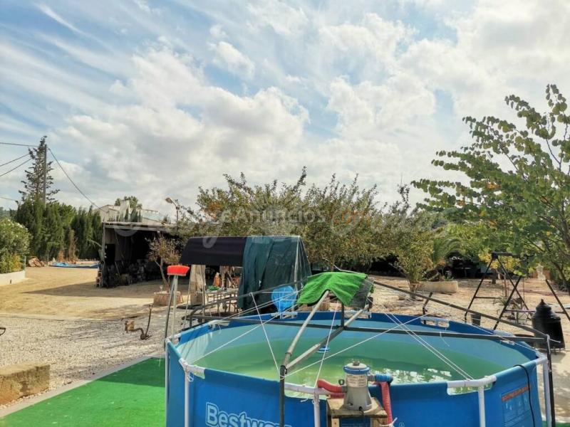 Casa de campo-Masía en Venta en Yecla Murcia